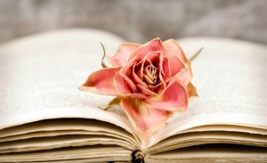 rose and book